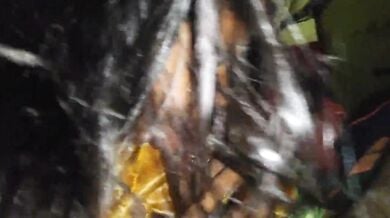 Bhabhi ke sab chhed chodne ki gandi chudai video
