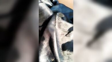 Village dehati girl ki sexy chut ki chudai ka outdoor sex mms